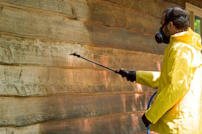 Santander trabajo limpieza Santander trabajo limpieza